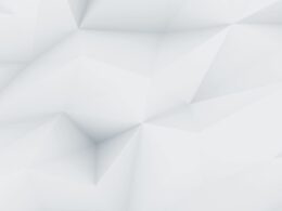 demo image 000001