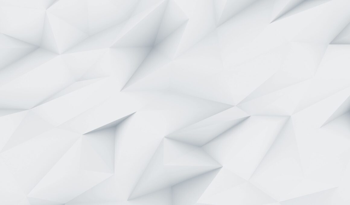 demo image 000002
