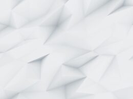 demo image 000002