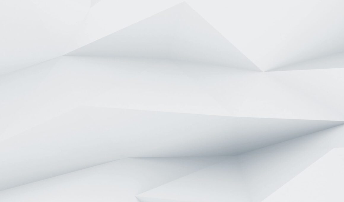 demo image 000004