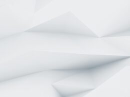 demo image 000004